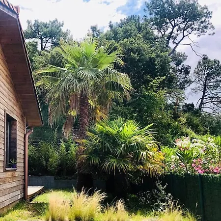 Pays Basque&landes Maison Bois Classee 4 Etoiles Dom wakacyjny Tarnos