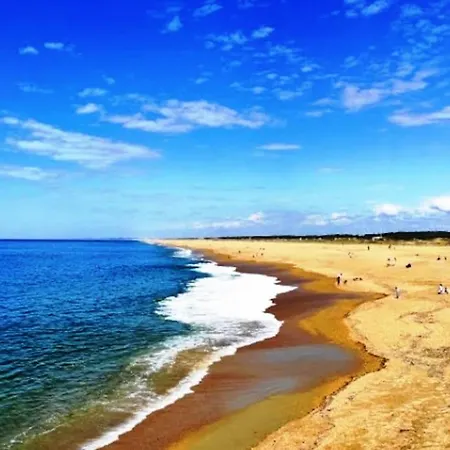 Pays Basque&landes Maison Bois Classee 4 Etoiles