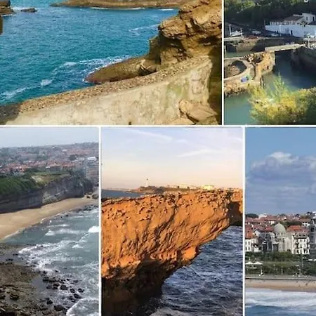 Dom wakacyjny Pays Basque&landes Maison Bois Classee 4 Etoiles Tarnos