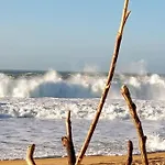 Hébergement de vacances Pays Basque&landes Maison Bois Classée 4 étoiles