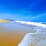 Pays Basque&landes Maison Bois Classée 4 étoiles Tarnos