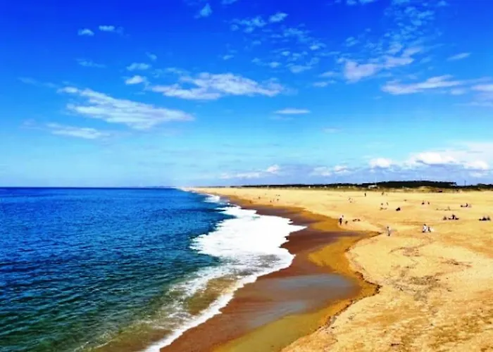 Pays Basque&landes Maison Bois Classee 4 Etoiles