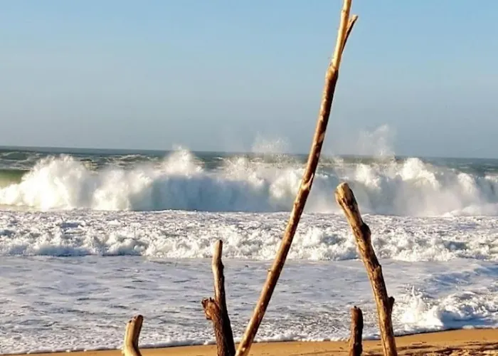 بيت للعطل Pays Basque&landes Maison Bois Classee 4 Etoiles