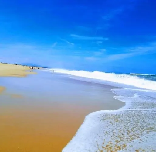 Pays Basque&landes Maison Bois Classee 4 Etoiles تارنوس
